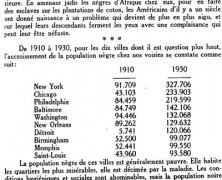 «Le problème noir»