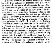 «Un joli lièvre»