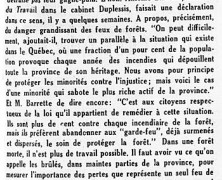 «Protégeons la forêt»
