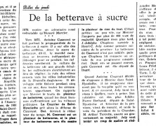 «De la betterave à sucre»