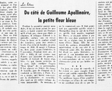 «Du côté de Guillaume Apollinaire, la petite fleur bleue»