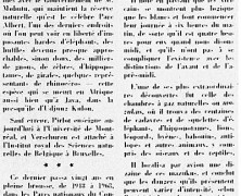 «Un autre livre sur l’Afrique restée si étrange et vivante»