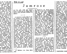 «Jamrose»